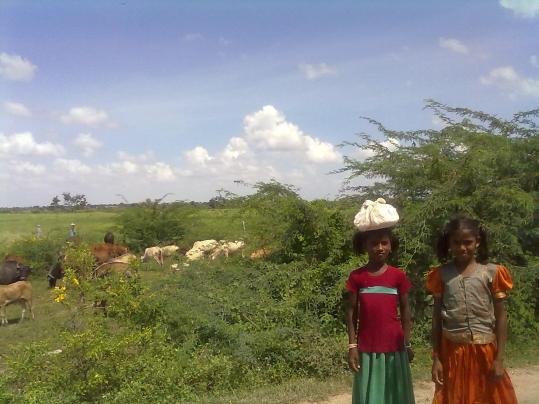 Girls in field carrying lunch (post 7)