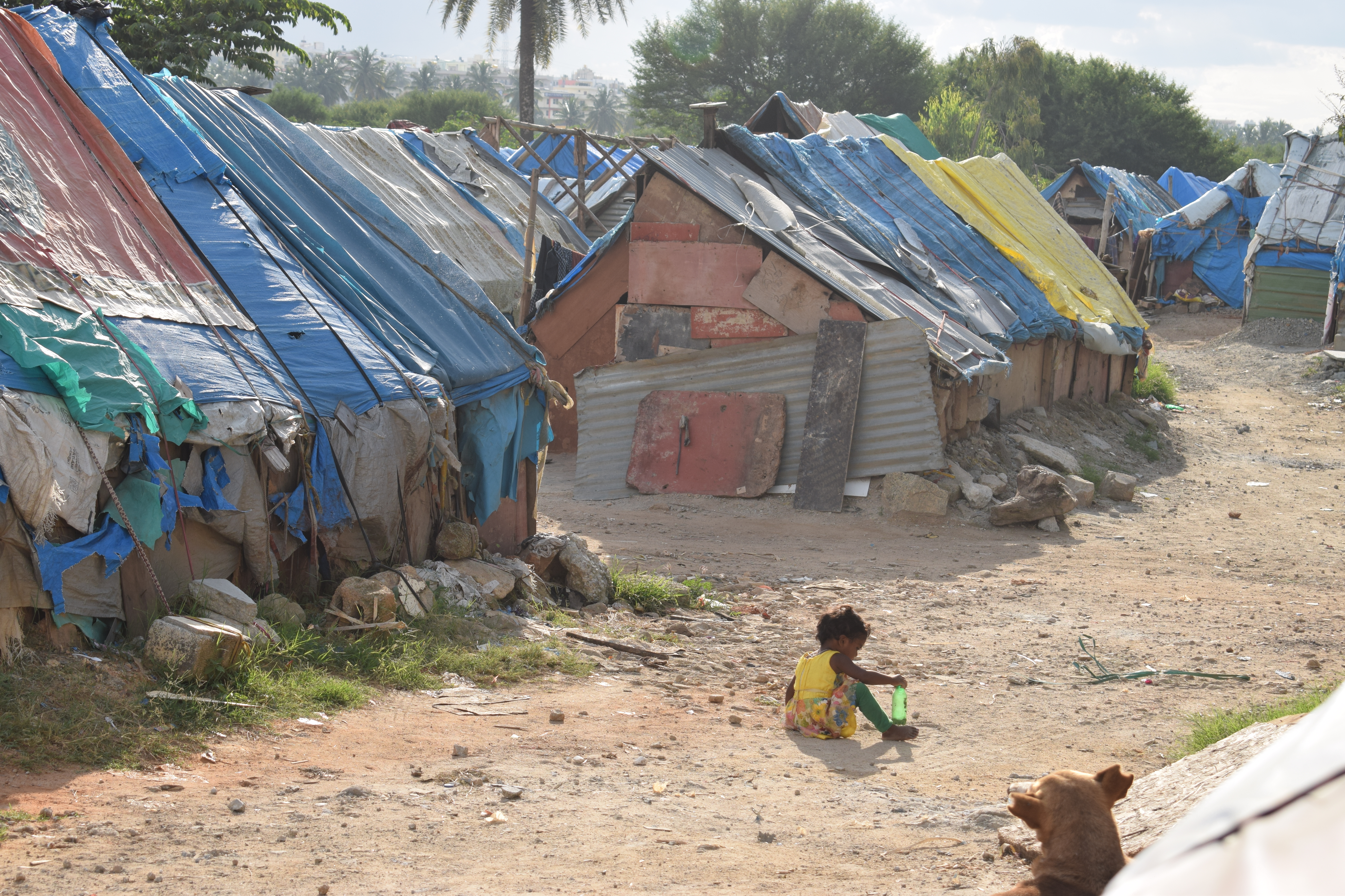 Life, livelihood and virus - Migrant camp